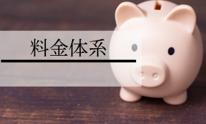 料金体系