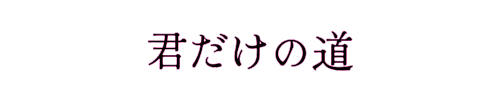 君だけの道
